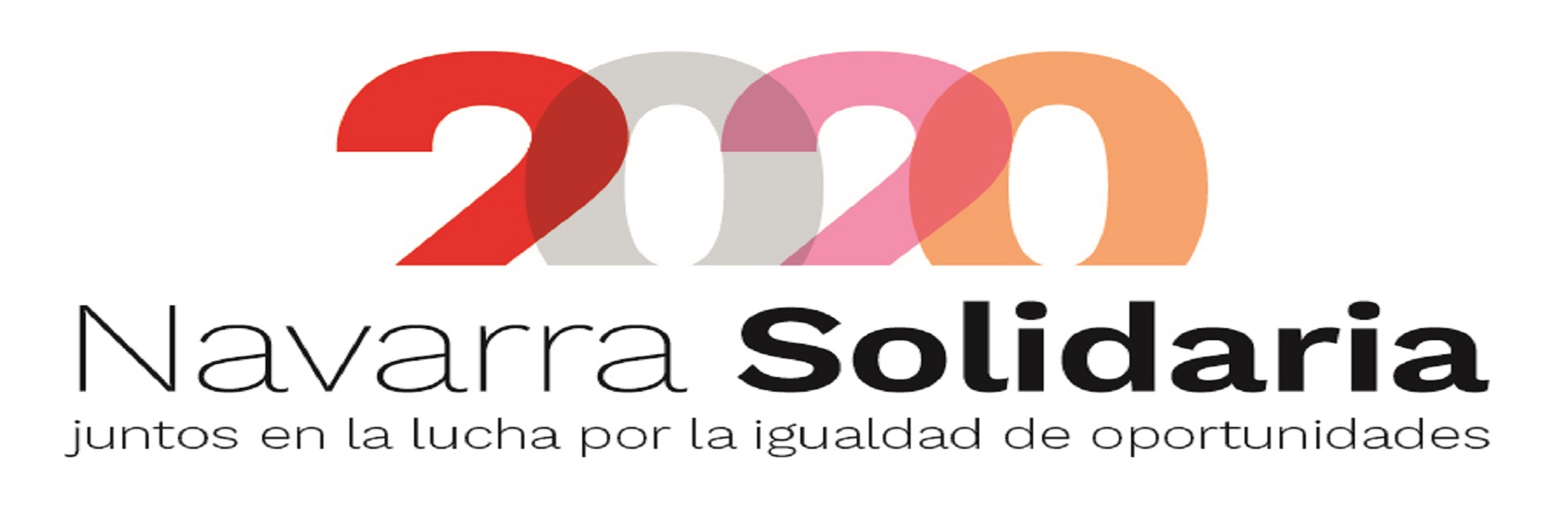 Navarra Solidaria 2020