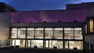Emakumearen Nazioarteko Eguna