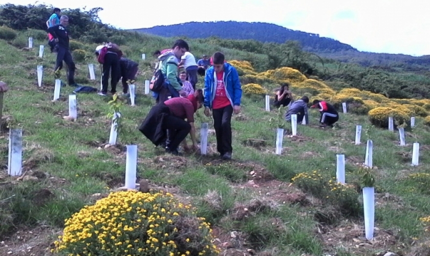 Los centros Isterria y Río Irati en el Día Verde Los centros Isterria y Río Irati en el Día Verde